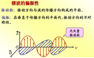 濾光片