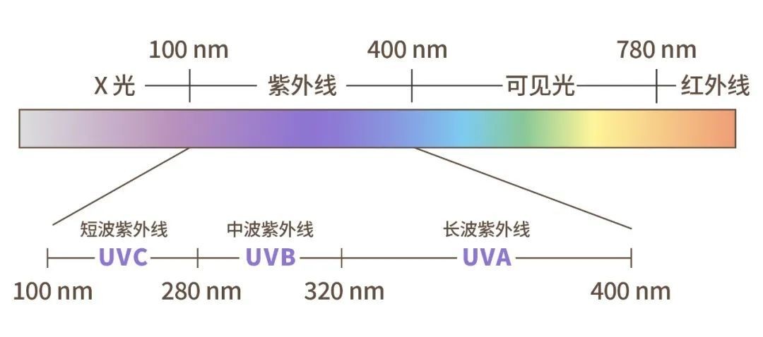 光譜分布圖