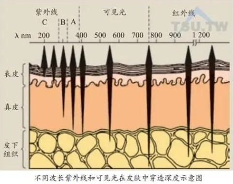 激光美容波長對(duì)皮膚損傷最小