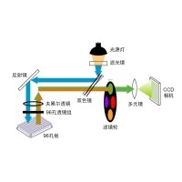 什么是熒光定量PCR、數(shù)字PCR？