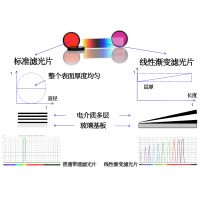 線性漸變?yōu)V光片是什么？有何特點(diǎn)？