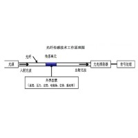 光纖傳感技術：崔洪亮和他的“中國夢”